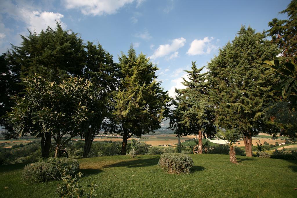 Agriturismo Il Girasole Montefalco Habitación foto